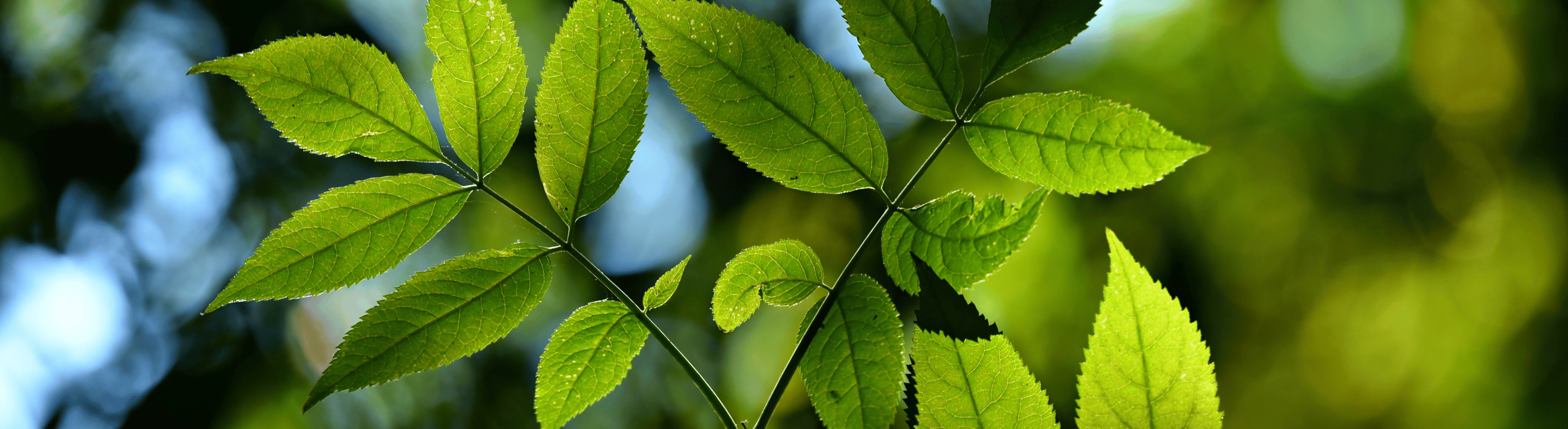 investors ESG criteria